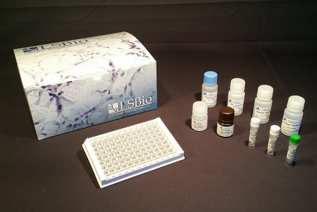 cortisol elisa